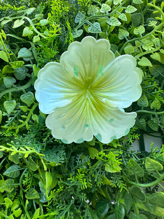 Pince crabe Hibiscus - Pastel - 7cm