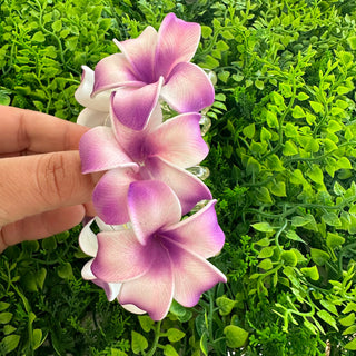 Pince crabe - Tipanie