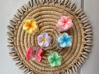 Mini pince  crabe - Tipanié - 2cm