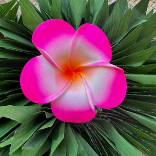 Pince crabe " Tipanie " - 9,5cm