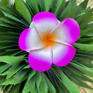 Pince crabe " Tipanie " - 9,5cm