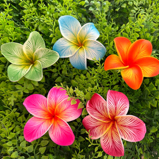 Pique à cheveux - Tipanié