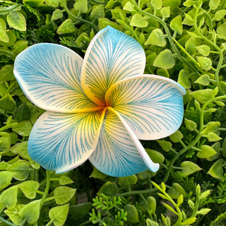 Pique à cheveux - Tipanié