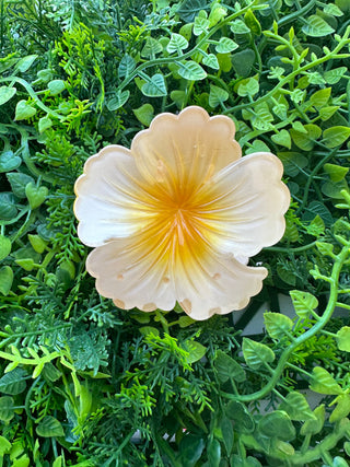 Pince crabe Hibiscus - Pastel - 7cm