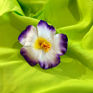 PINCE CROCO - HIBISCUS 10CM