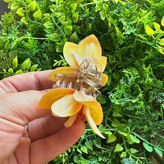 Mini Poara Orchidée - Divers Coloris - 6 cm