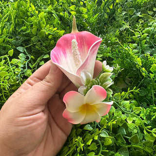 Poara - Tehani