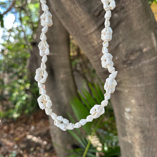 Collier de coquillages