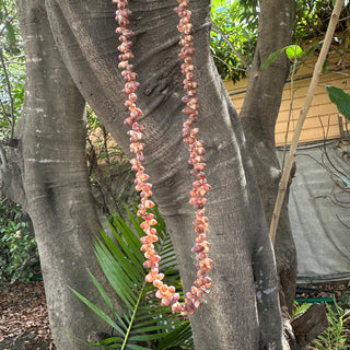 Collier de coquillages