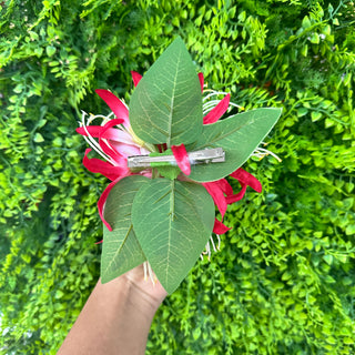 Poara - Marama
