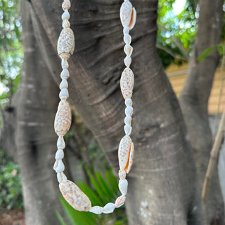 Collier de coquillages