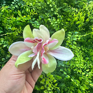Poara - Tiarehere