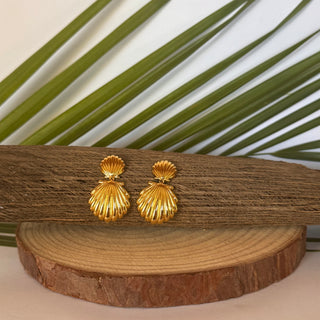 Boucles d'oreilles - Coquillage "Aurora" - Acier inoxydable