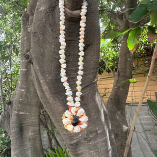 Collier de coquillages
