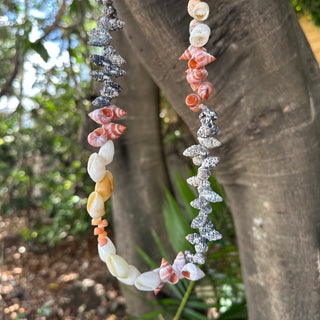 Collier de coquillages