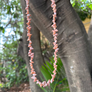 Collier de coquillages