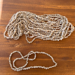 Collier de coquillage « OMBONIUM  NUI»