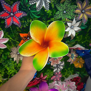 Tipanie Rarahi Vert/Jaune