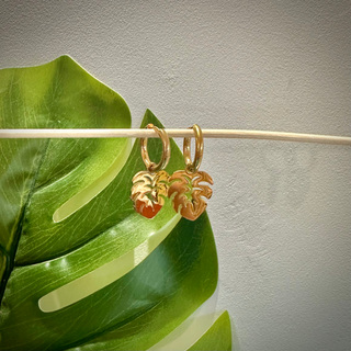 Boucles d'oreilles feuille tropicale - "Apenui" - Acier inoxydable