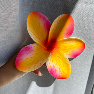 Tipanie Rarahi Fushia/Jaune