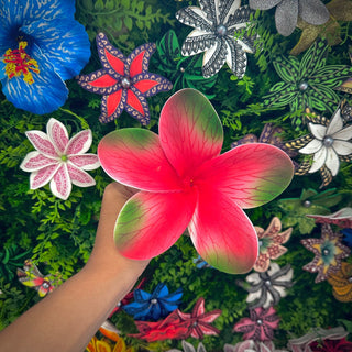 Tipanie Rarahi Vert/Fushia