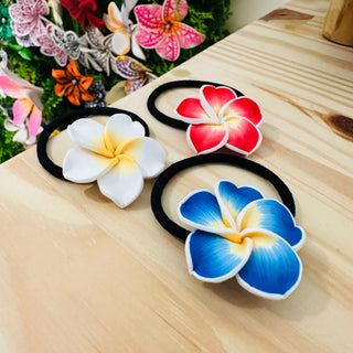 Elastique « Tipanie »