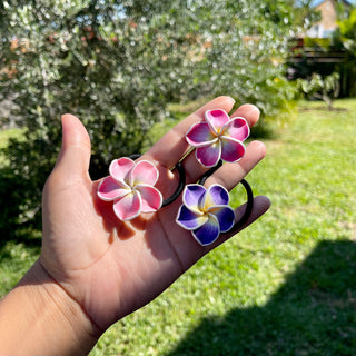 Elastique « Tipanie »