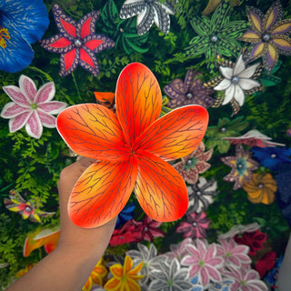 Tipanie Rarahi Orange