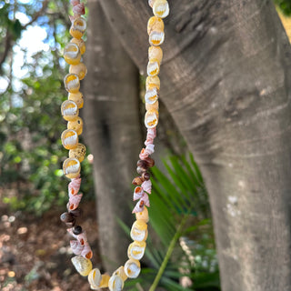 Collier de coquillages