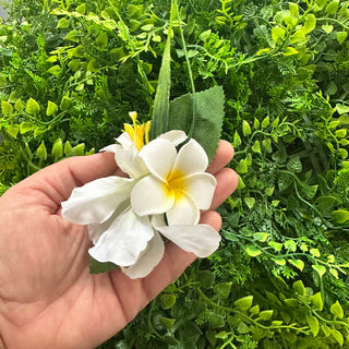Poara Frangipannier & Fleurs - Blanc