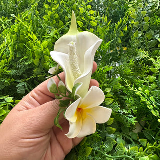 Poara - Tehani