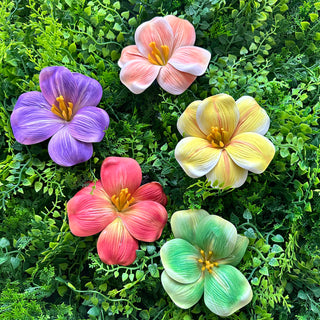 Pince Hibiscus