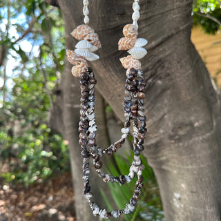 Collier de coquillages