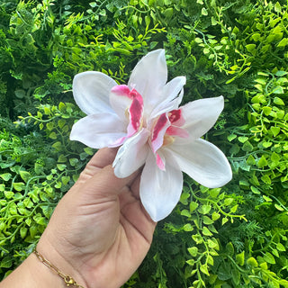Poara - Tiarehere