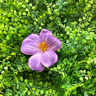 Pince Hibiscus