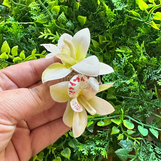 Mini Poara Orchidée - Divers Coloris - 6 cm