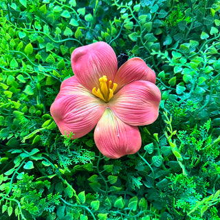 Pince Hibiscus