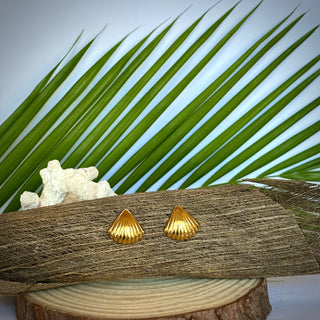 Clous d'oreilles coquillage - Lola - Acier Inoxydable
